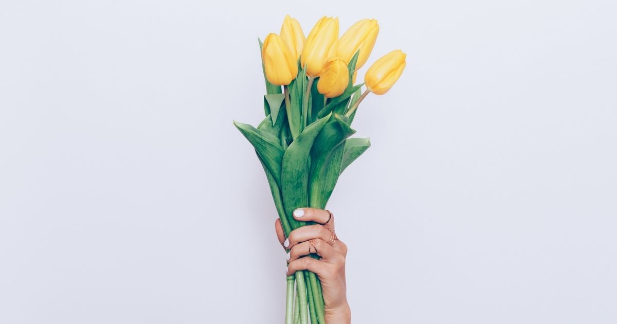 38婦女節鬱金香tulips