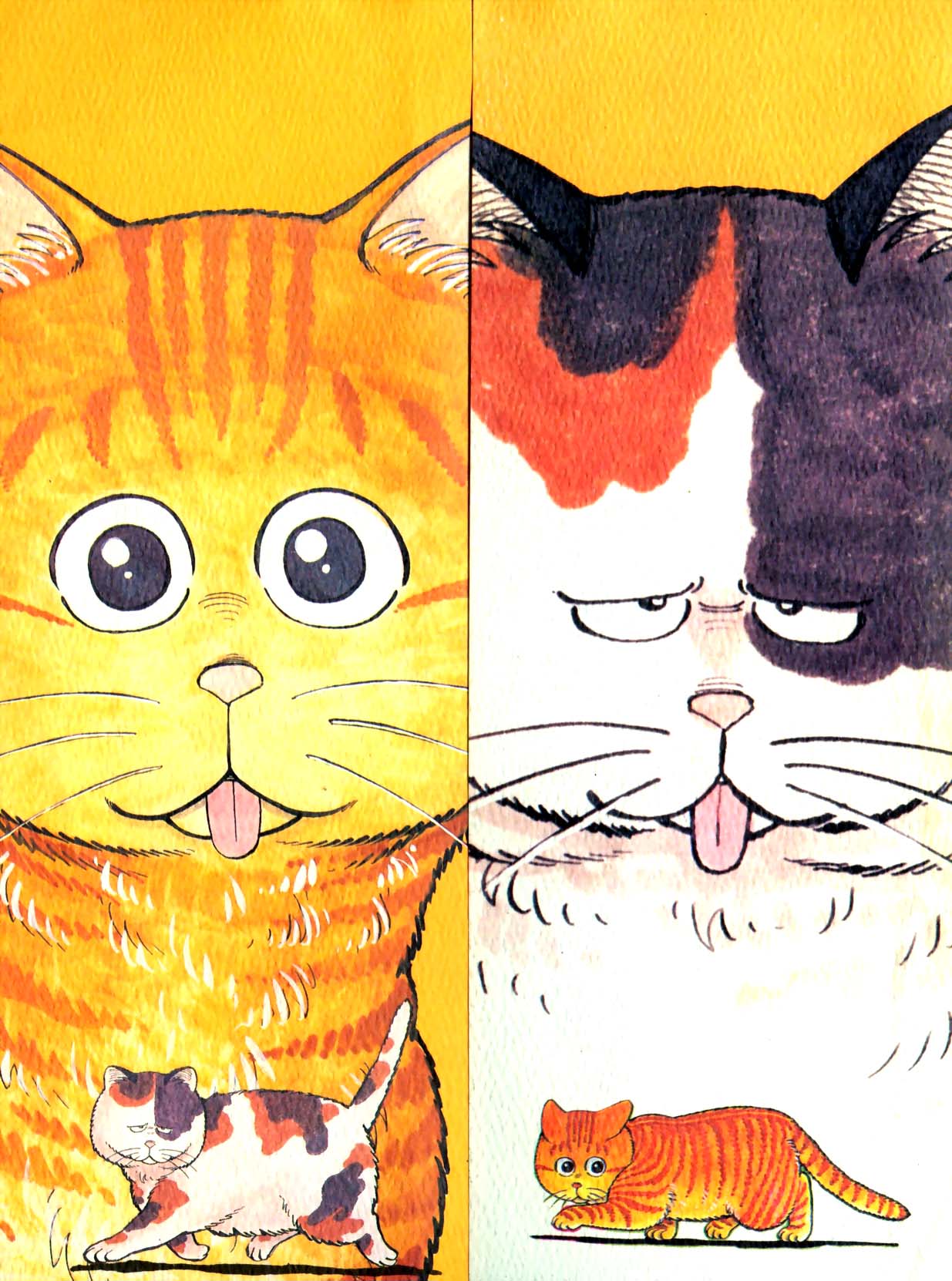 米高加德里奧 Respect your cat day